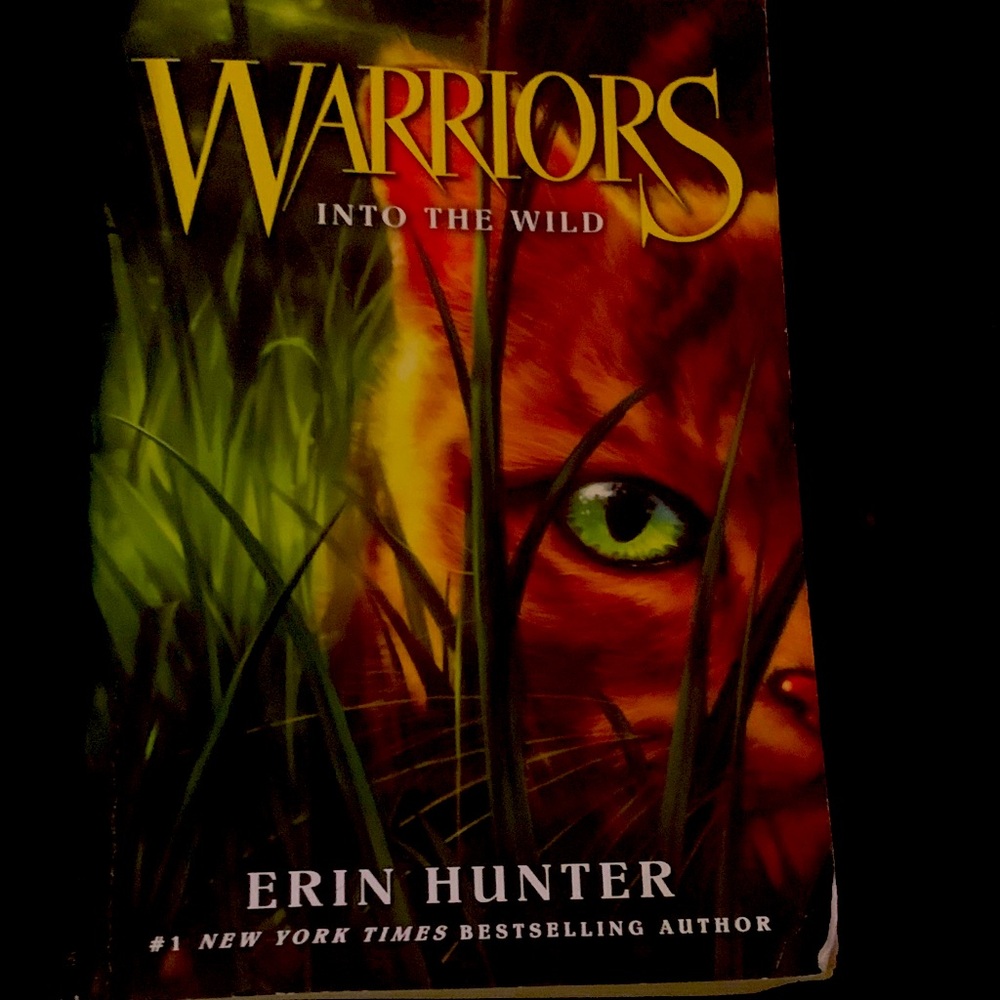 Warriors Erin Hunter Into The Wild